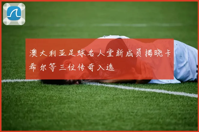 澳大利亚足球名人堂新成员揭晓卡希尔等三位传奇入选