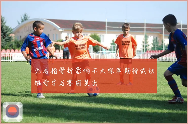 无名指骨折影响不大绿军期待武切维奇季后赛前复出